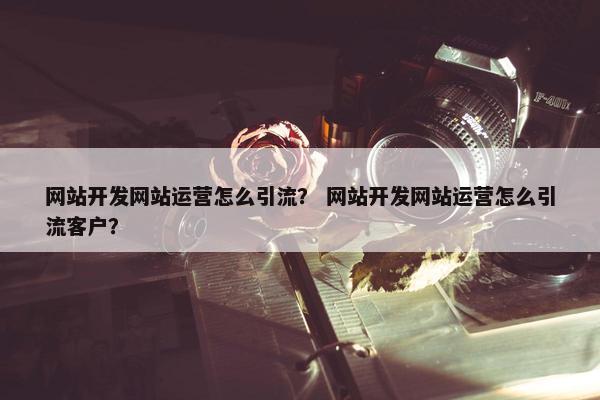 网站开发网站运营怎么引流？ 网站开发网站运营怎么引流客户？