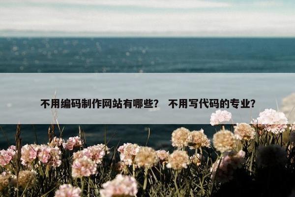 不用编码制作网站有哪些？ 不用写代码的专业？