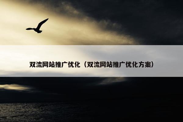 双流网站推广优化（双流网站推广优化方案）
