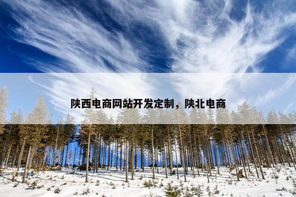 陕西电商网站开发定制，陕北电商