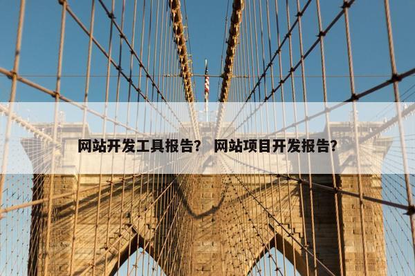 网站开发工具报告？ 网站项目开发报告？