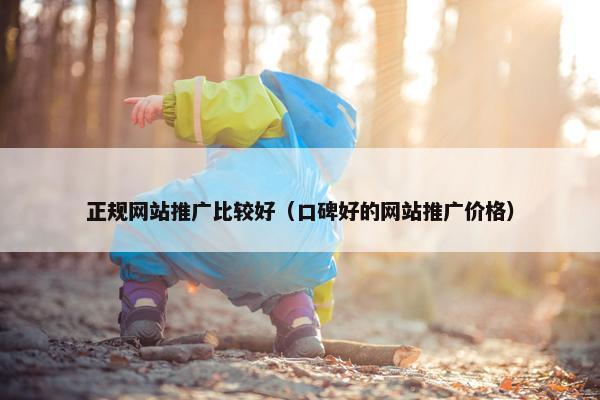 正规网站推广比较好（口碑好的网站推广价格）