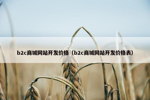 b2c商城网站开发价格（b2c商城网站开发价格表）