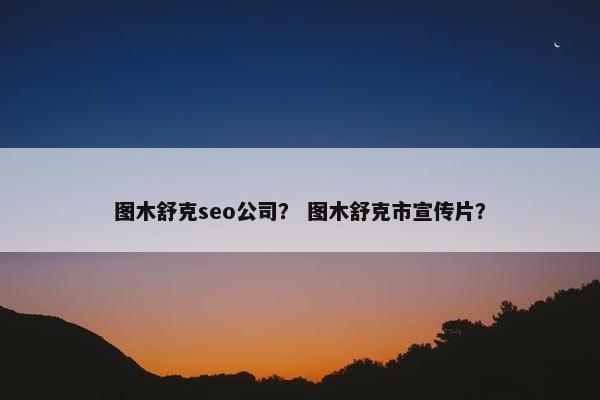 图木舒克seo公司？ 图木舒克市宣传片？