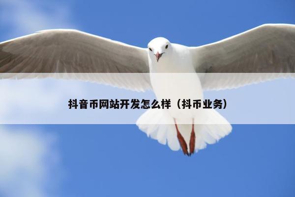 抖音币网站开发怎么样（抖币业务）