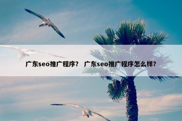广东seo推广程序？ 广东seo推广程序怎么样？