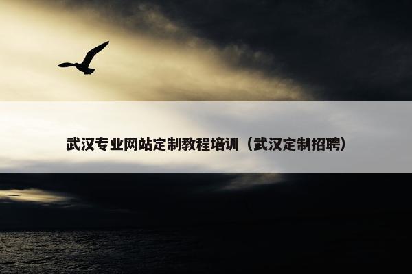 武汉专业网站定制教程培训（武汉定制招聘）