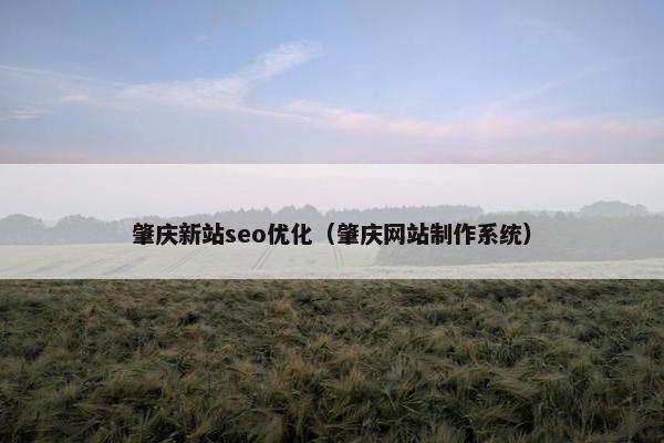 肇庆新站seo优化（肇庆网站制作系统）