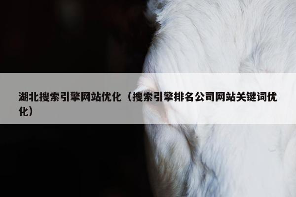 湖北搜索引擎网站优化（搜索引擎排名公司网站关键词优化）