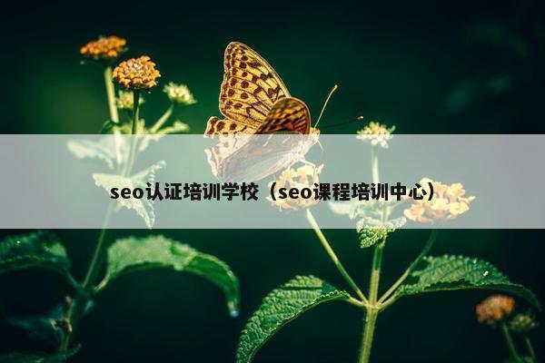 seo认证培训学校（seo课程培训中心）