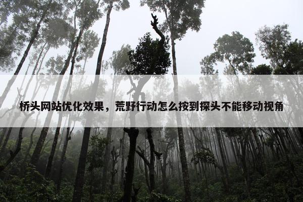 桥头网站优化效果，荒野行动怎么按到探头不能移动视角