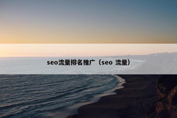 seo流量排名推广（seo 流量）