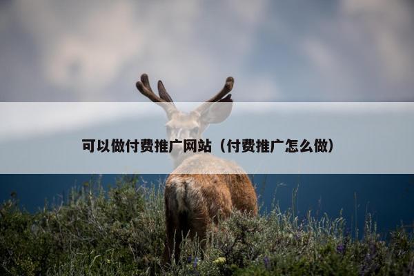 可以做付费推广网站（付费推广怎么做）