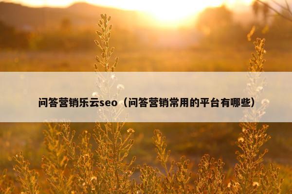 问答营销乐云seo（问答营销常用的平台有哪些）