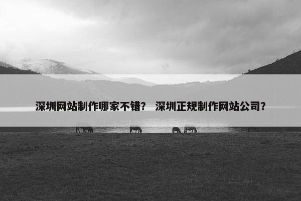 深圳网站制作哪家不错？ 深圳正规制作网站公司？