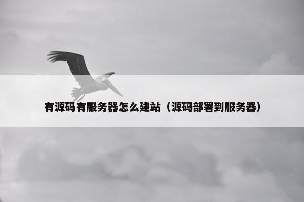 有源码有服务器怎么建站（源码部署到服务器）