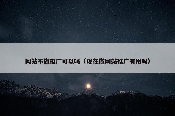 网站不做推广可以吗（现在做网站推广有用吗）