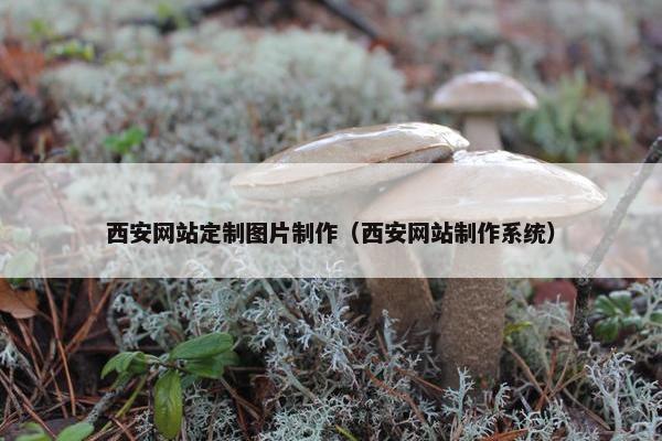 西安网站定制图片制作（西安网站制作系统）
