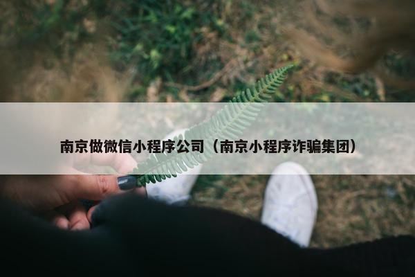 南京做微信小程序公司（南京小程序诈骗集团）