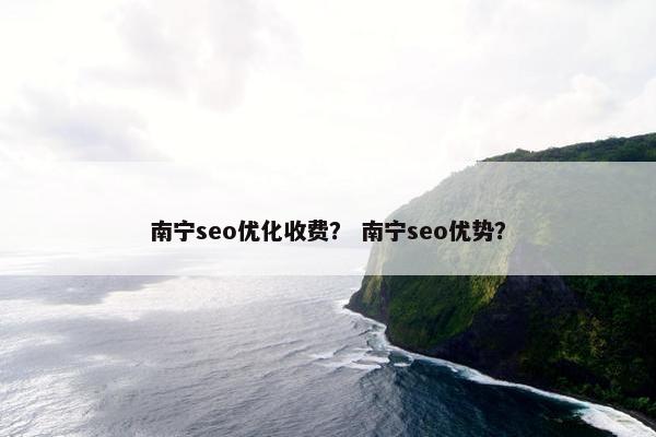 南宁seo优化收费？ 南宁seo优势？
