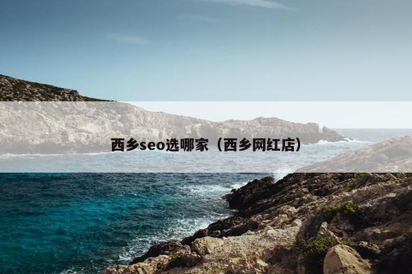 西乡seo选哪家（西乡网红店）