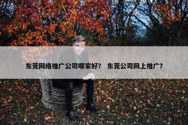 东莞网络推广公司哪家好？ 东莞公司网上推广？