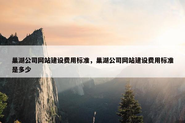 巢湖公司网站建设费用标准，巢湖公司网站建设费用标准是多少