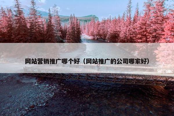 网站营销推广哪个好（网站推广的公司哪家好）