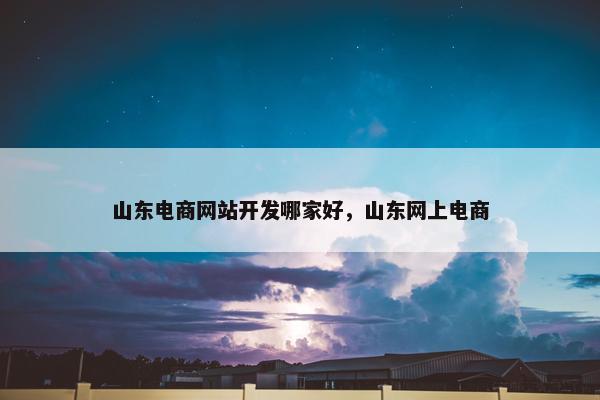 山东电商网站开发哪家好，山东网上电商