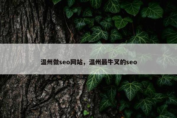 温州做seo网站，温州最牛叉的seo