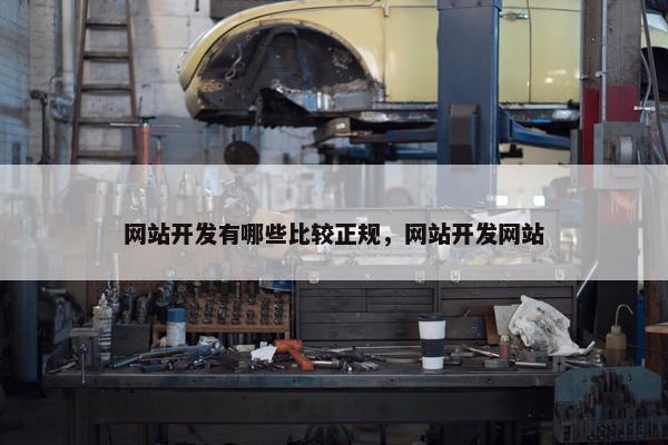 网站开发有哪些比较正规，网站开发网站