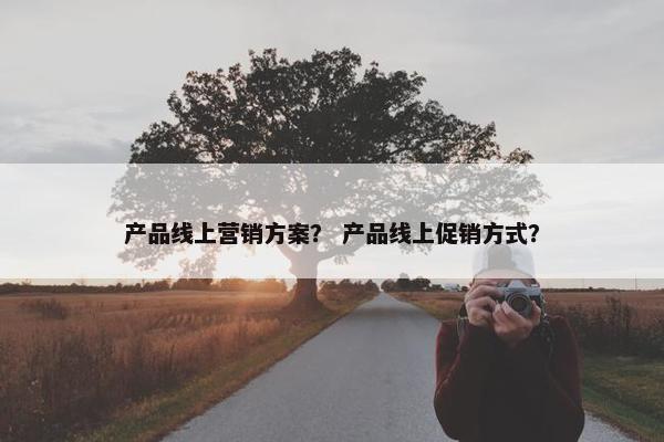 产品线上营销方案？ 产品线上促销方式？