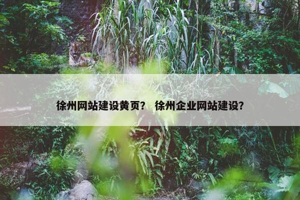 徐州网站建设黄页？ 徐州企业网站建设？