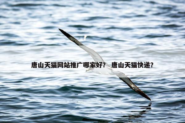 唐山天猫网站推广哪家好？ 唐山天猫快递？