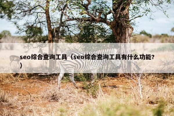 seo综合查询工具（seo综合查询工具有什么功能?）