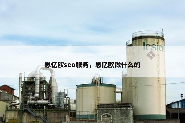 思亿欧seo服务，思亿欧做什么的