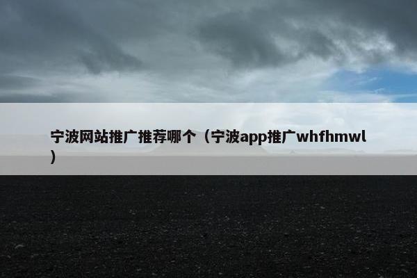 宁波网站推广推荐哪个（宁波app推广whfhmwl）