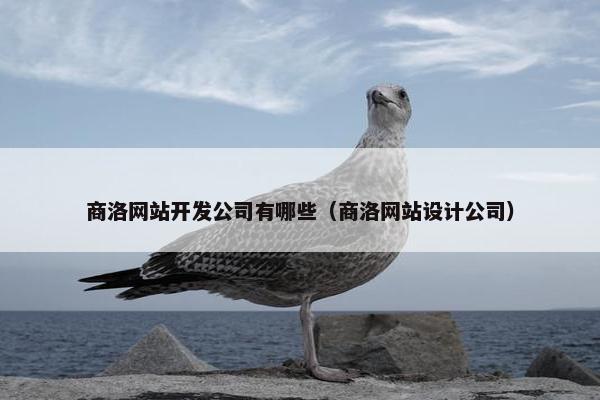 商洛网站开发公司有哪些（商洛网站设计公司）