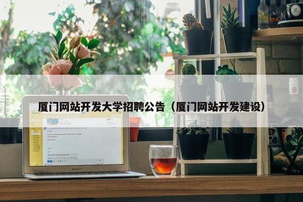 厦门网站开发大学招聘公告（厦门网站开发建设）