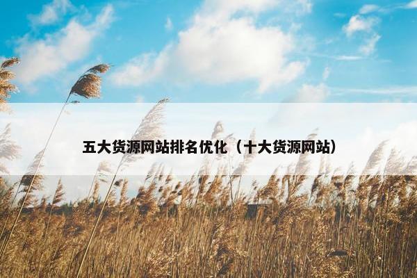 五大货源网站排名优化（十大货源网站）