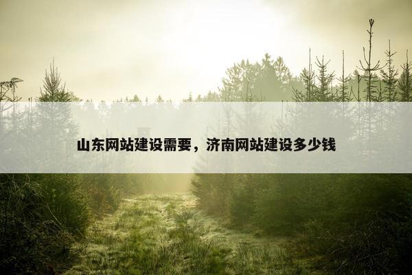 山东网站建设需要，济南网站建设多少钱