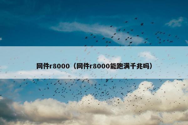 网件r8000（网件r8000能跑满千兆吗）