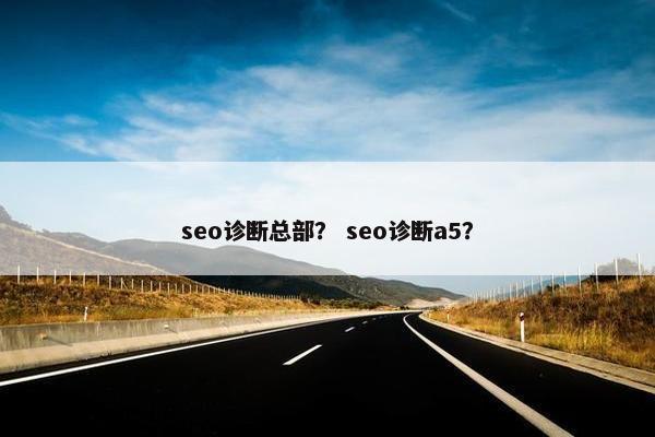 seo诊断总部？ seo诊断a5？