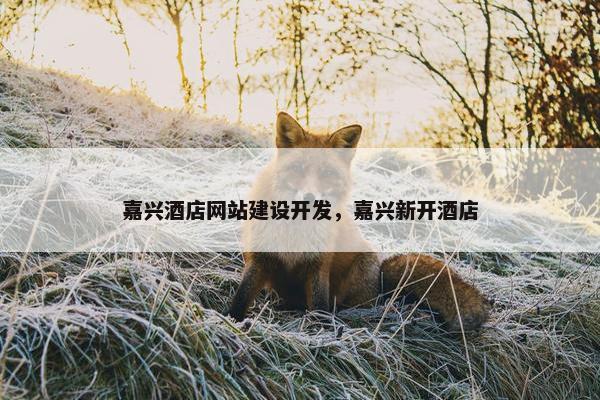 嘉兴酒店网站建设开发，嘉兴新开酒店