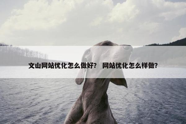 文山网站优化怎么做好？ 网站优化怎么样做？