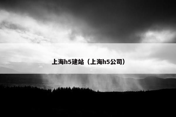 上海h5建站（上海h5公司）