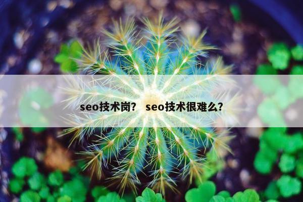 seo技术岗？ seo技术很难么？
