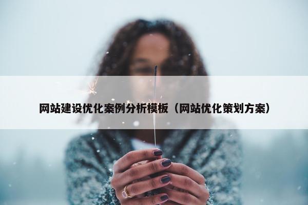 网站建设优化案例分析模板（网站优化策划方案）
