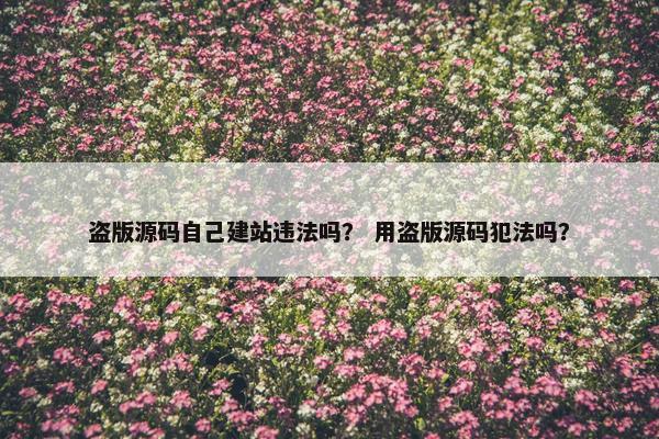 盗版源码自己建站违法吗？ 用盗版源码犯法吗？