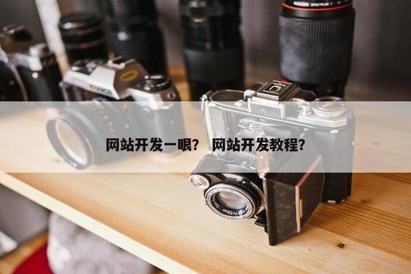 网站开发一眼？ 网站开发教程？